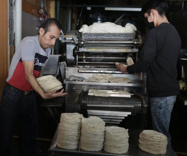 Aumento del precio de las tortillas por factores económicos y extorsión