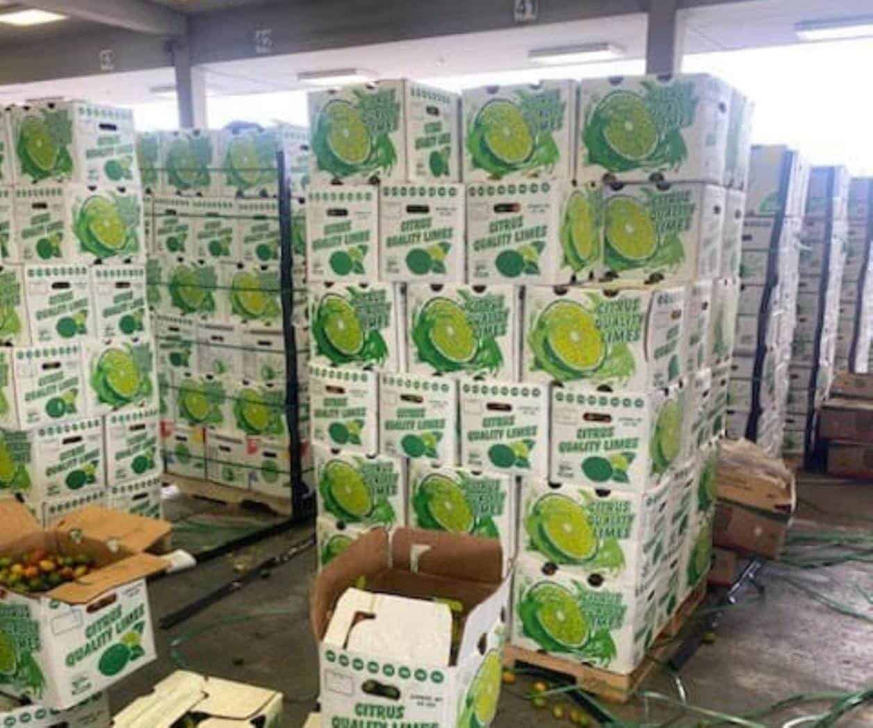 Oficina de operaciones de CBP: Decomisan en la aduana carga de frutas prohibidas