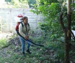 Fumigan 400 colonias y ejidos contra el dengue en Reynosa