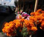 Suben precios de la flor de cempasúchil este año en Reynosa