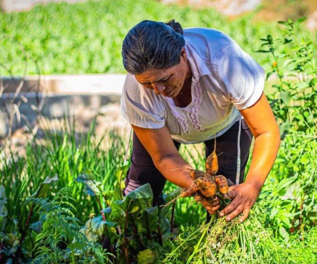 Entran mujeres a labores del campo Entran mujeres a labores del campo