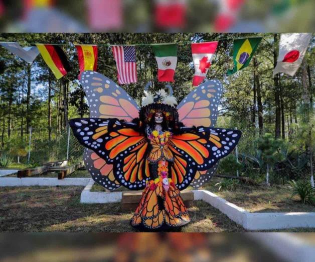 Llegan Mariposas Monarca a Michoacán; listos para la Noche de Muertos Llegan Mariposas Monarca a Michoacán; listos para la Noche de Muertos