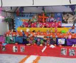 Instalan un altar de muertos para Mascotas en Reynosa