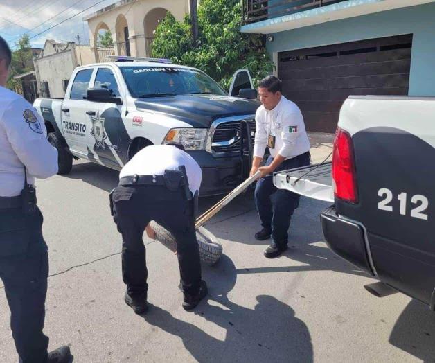 Libera el municipio espacios ocupados Libera el municipio espacios ocupados