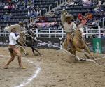 ¡Ya están en ´semis´! Tamaulipecos, en busca del campeonato