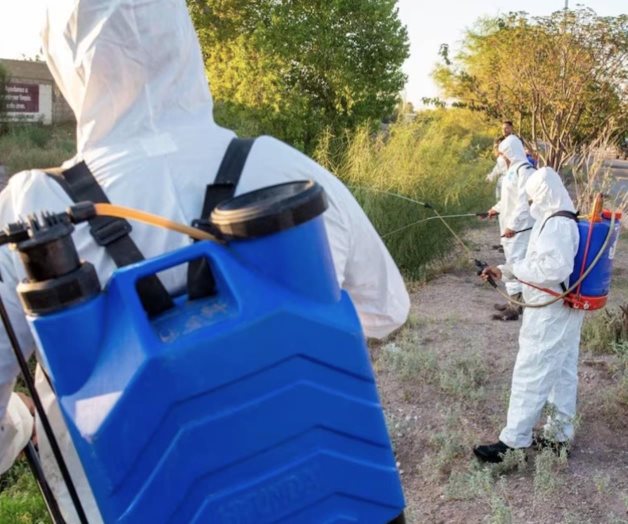 Reportan 8 defunciones por dengue en Tamaulipas Reportan 8 defunciones por dengue en Tamaulipas