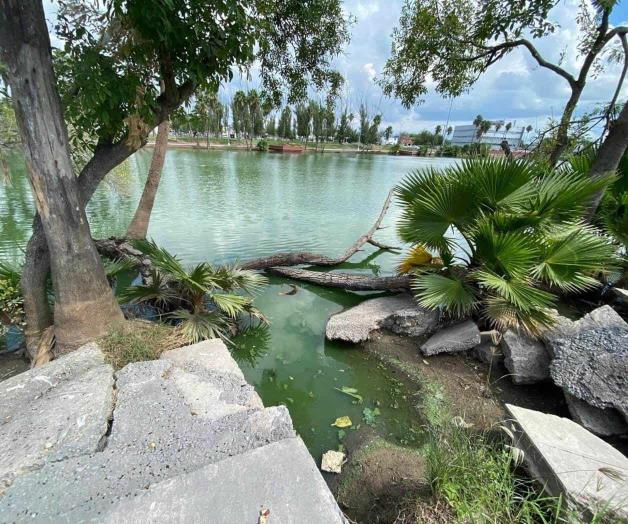 Invertirá municipio 12 mdp para sanear el lugar: Contaminan aguas negras a El Laguito Invertirá municipio 12 mdp para sanear el lugar: Contaminan aguas negras a El Laguito