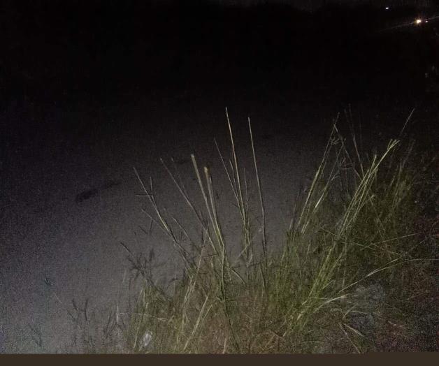 Vandalizan el alumbrado en  Av. San Pedro
