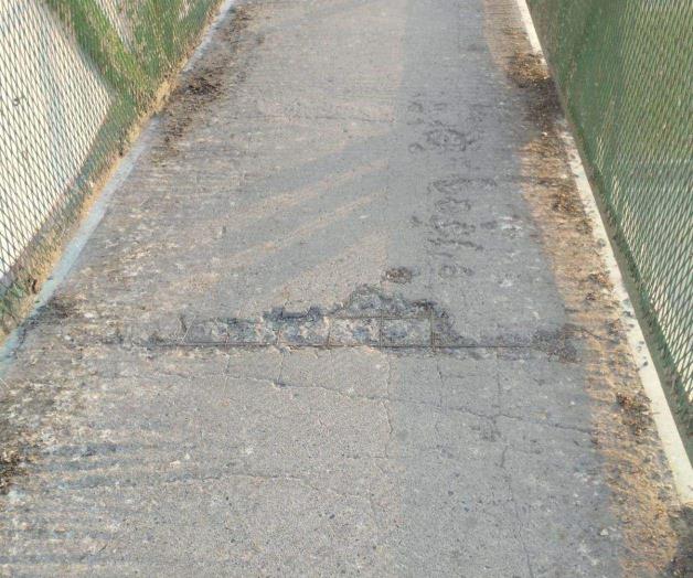 Urge rehabilitación de puente peatonal Urge rehabilitación de puente peatonal