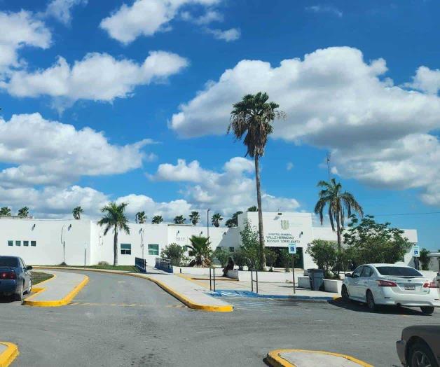 Cae de dos metros, por podar un árbol Cae de dos metros, por podar un árbol