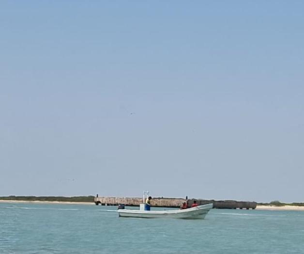 Termina veda de lisa en la zona lagunaria Termina veda de lisa en la zona lagunaria