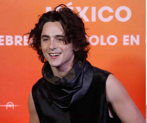 Timothée Chalamet: De las audiciones al estrellato Timothée Chalamet: De las audiciones al estrellato