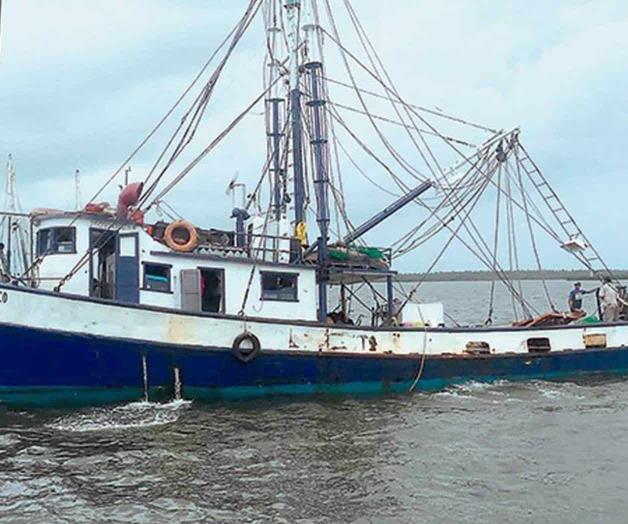 ´En picada´ la captura de camarón en costas de Tamaulipas
