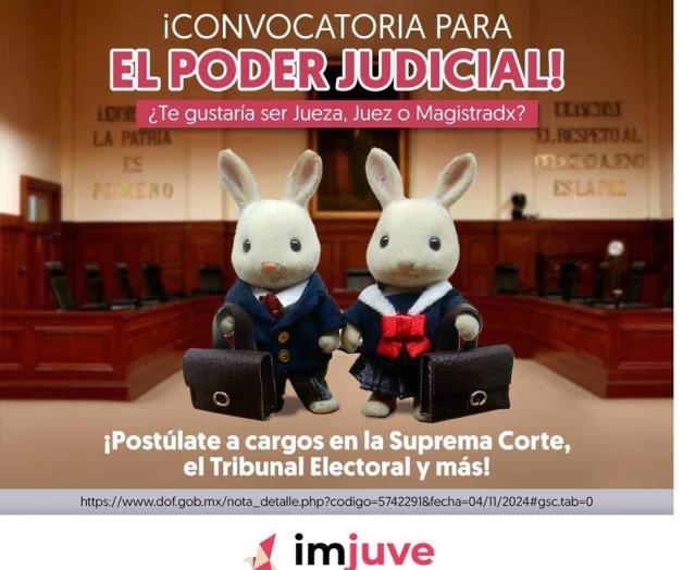 Critican campaña de Imjuve sobre elección judicial