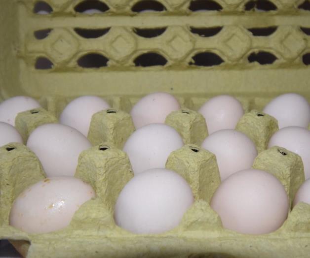 Llega huevo a $107 la tapa