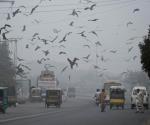 Emergencia sanitaria por smog en Pakistán