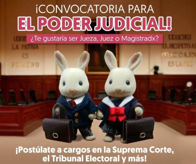 Críticas a campaña Judicial del Instituto Mexicano de la Juventud por uso de ternurines Críticas a campaña Judicial del Instituto Mexicano de la Juventud por uso de ternurines