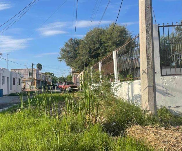 Demandan mantenimiento a vialidad en colonia Hidalgo Demandan mantenimiento a vialidad en colonia Hidalgo