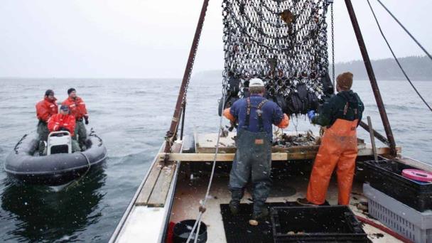 Impacto En Consumo De Pescados