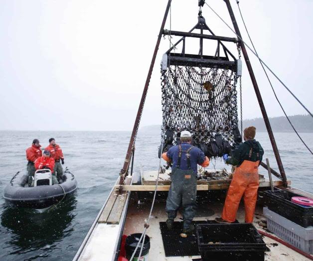 Revelan informe: Cae captura y consumo de pescados y mariscos en EU