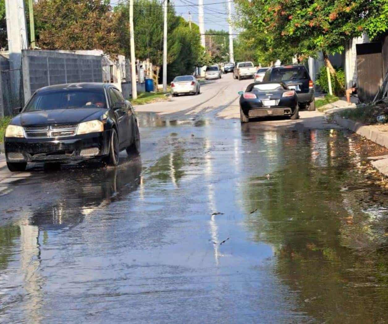 Piden atender una fuga de agua potable en la Hidalgo