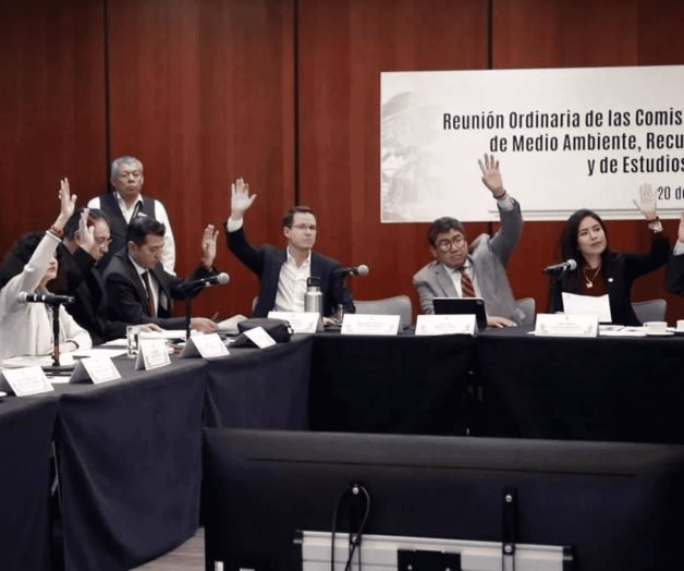 Avanza en Senado reforma contra maltrato animal Avanza en Senado reforma contra maltrato animal