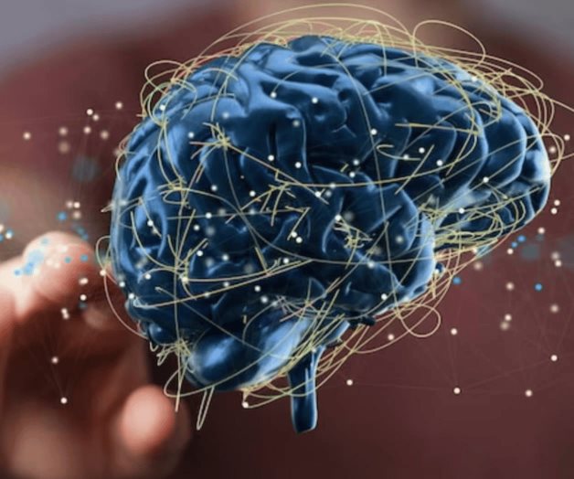 Especia milenaria clave en tratamiento de trastornos neurológicos