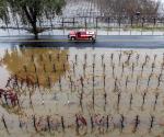 Miles siguen sin luz en Seattle: Azota tormenta a California