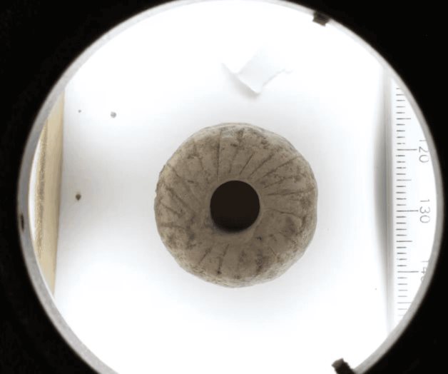 Un posible precursor de la rueda se inventó hace 12.000 años en Oriente Próximo