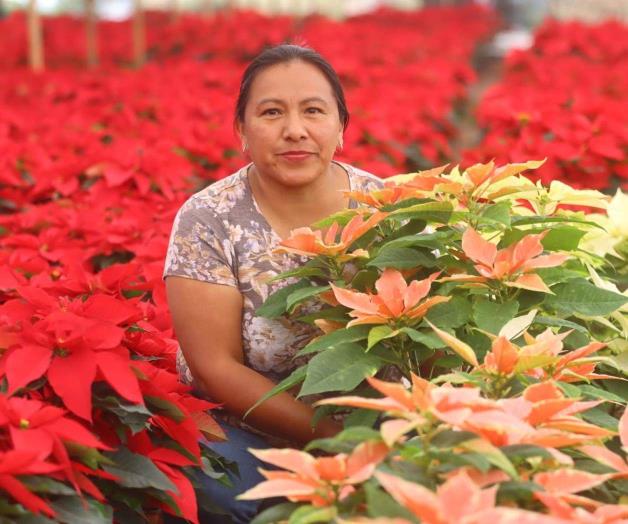 Tras tragedia rescatan cultivo