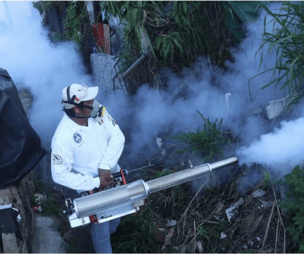 En riesgo otras entidades:  ´Ataca´ dengue con furia en NL y Jalisco