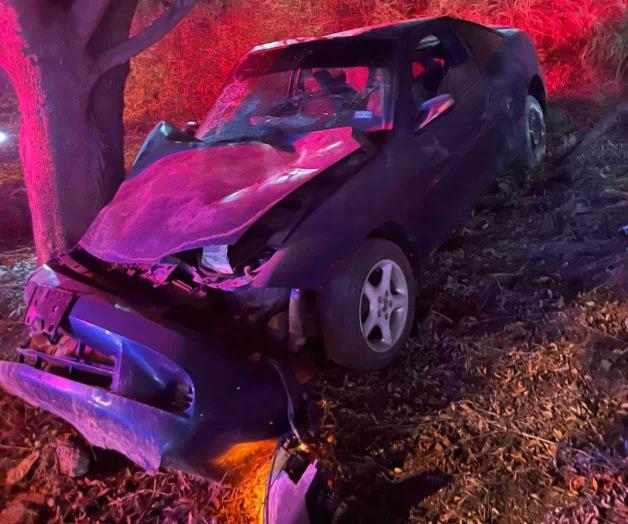 Termina viaje en un árbol