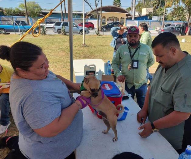 Realizan campaña para esterilizar a las mascotas en Reynosa