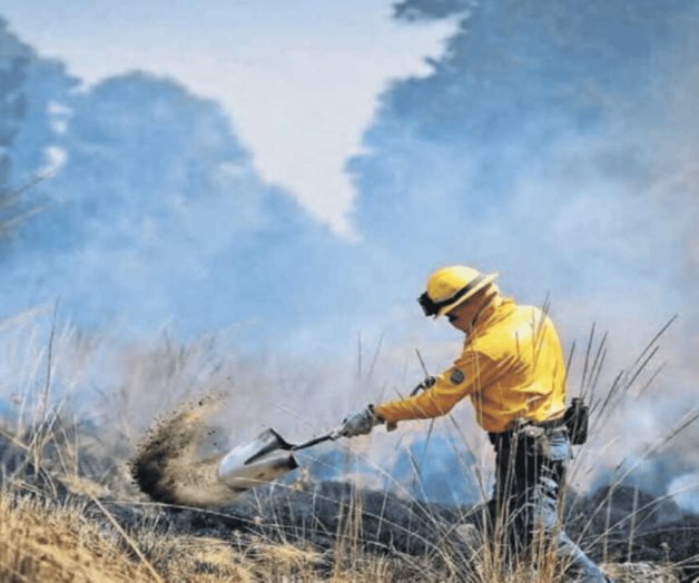 Probosque del Edomex reporta mil 200 incendios forestales en 2024 Probosque del Edomex reporta mil 200 incendios forestales en 2024