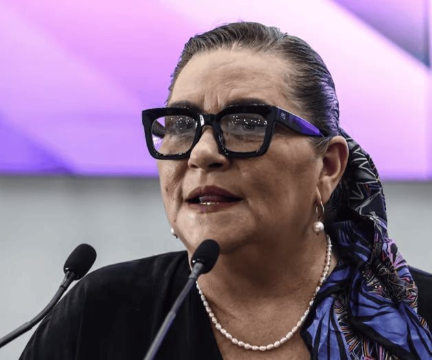 INE no pagará multas, afirma Guadalupe Taddei INE no pagará multas, afirma Guadalupe Taddei