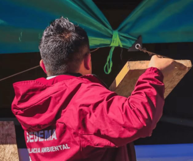 Instalan filtro contra la tala ilegal en la alcald&iacute;a Tlalpan