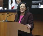 Aprueba el Senado lenguaje incluyente
