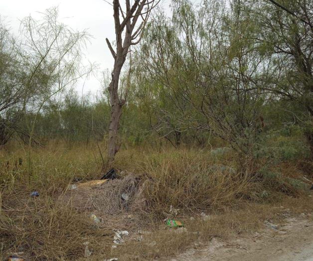 Proliferan solares bald&iacute;os con hierba en la Colonia Bienestar de Reynosa