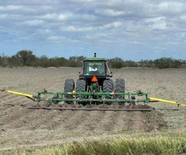 Aumento a insumos impide siembras al sector agr&iacute;cola