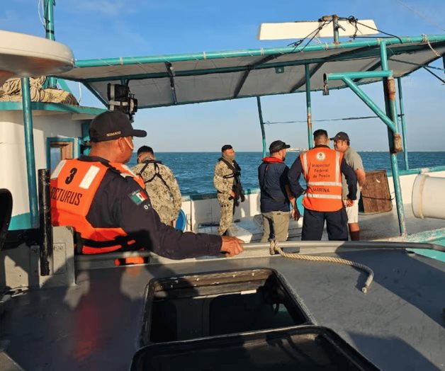 La Marina asegura 300 kilos de langosta en costas de Progreso La Marina asegura 300 kilos de langosta en costas de Progreso