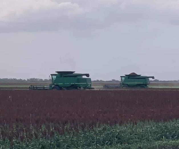 Para apoyos de diésel subsidiado: Darán nueva  oportunidad   a productores