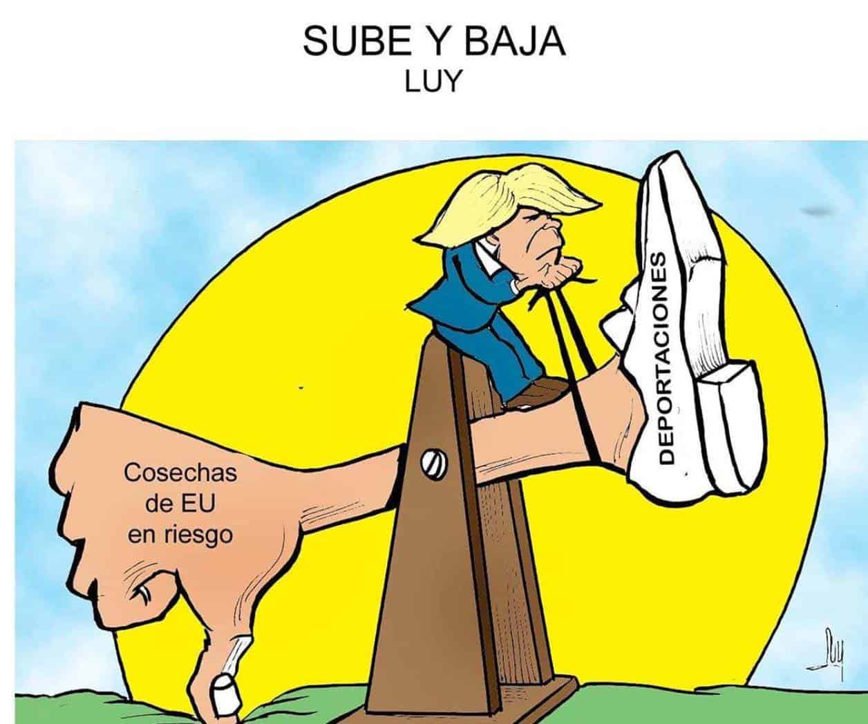 Sube y baja