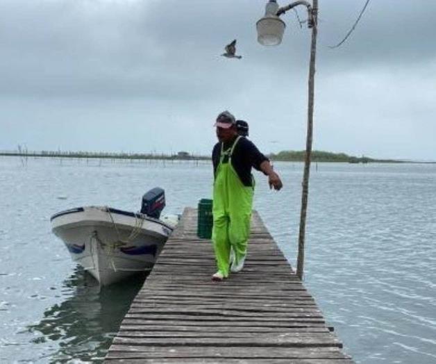 Luego del frente frío: Pescadores reanudan actividades en altamar Luego del frente frío: Pescadores reanudan actividades en altamar