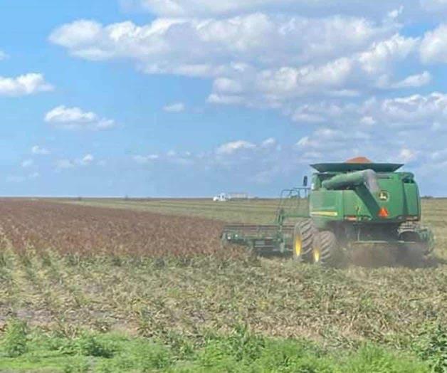 Entregarán apoyos de semillas y diésel a agricultores de Río Bravo