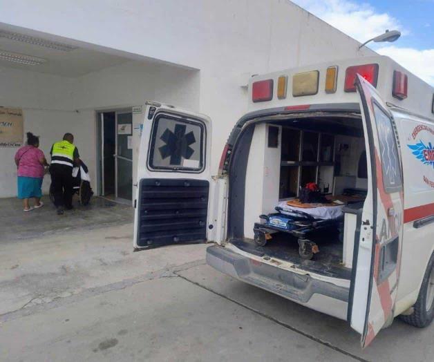 Ataca víbora de cascabel a pescador en San Fernando Ataca víbora de cascabel a pescador en San Fernando
