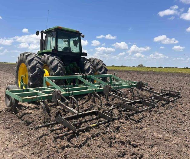 Para  quienes producen sorgo: Difícil panorama en San Fernando