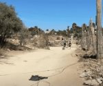 Hallan a mujer sin vida en un callejón en Los Cabos, BCS