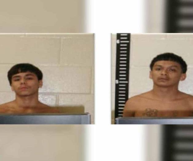 Tenían droga en su casa: Detienen a dos luego de catear una vivienda Tenían droga en su casa: Detienen a dos luego de catear una vivienda