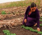 Promueven la igualdad económica: Impulsan mejoras salariales a mujeres de zonas rurales