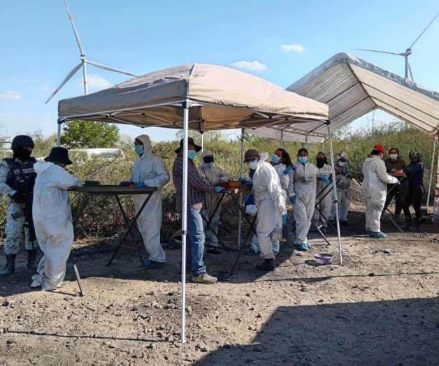 Descubren 18 campos de exterminio en 2024